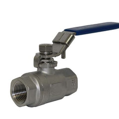 Collection image for: 2 Piece Ball Valves (304SS)