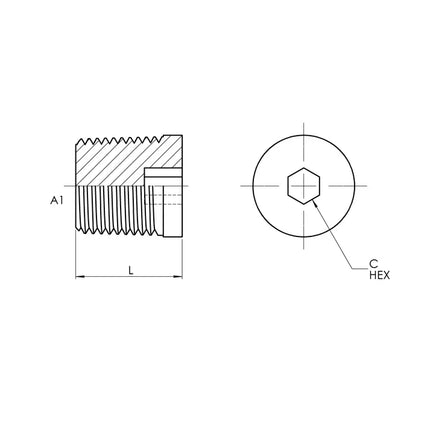SS-5406-HHP-02 | 02 Hollow Hex Pipe Plug, Stainless Steel