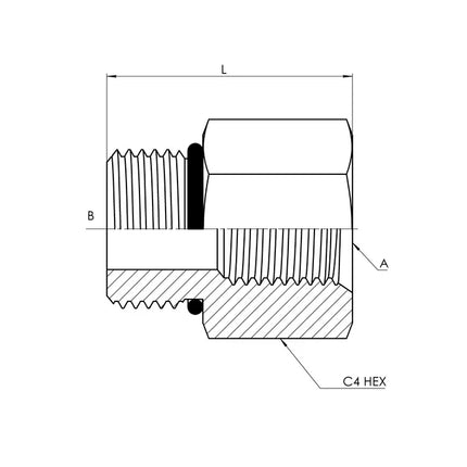 6410-12-12-O | 12 MORB - 12 FORB Straight, Carbon Steel