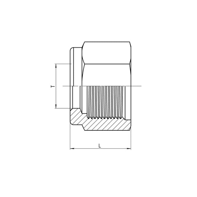 SS-C0318-06 | 06 Compression Nut, Stainless Steel