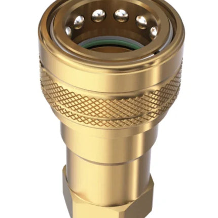 HNV-B-SS-04-04C-NPT-EPDM | 1/4" Brass Carpet Cleaning Coupler with 1/4" NPT Female, SS Valve, EPDM seals